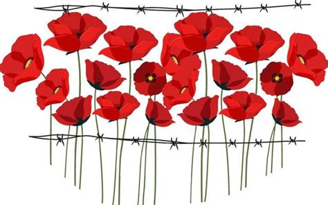 Poppy Flower Vector Art, Icons, and Graphics for Free Download