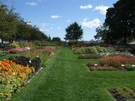 Life From The Roots: Prescott Park, Portsmouth, New Hampshire