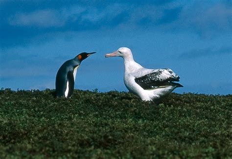 FT5XT - Kerguelen Islands - News - Information