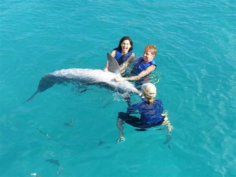 Dolphin Swim Hawaii Oahu Island (800) 667-5524