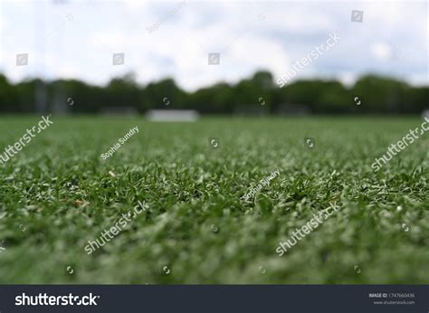 Turf Soccer Field Grass Stock Photo 1747660436 | Shutterstock