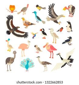 Air Animals With Names