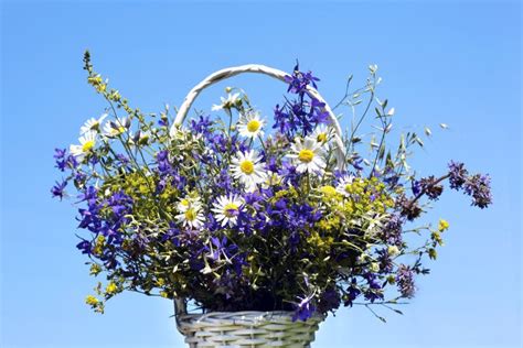 Bouquet of Meadow Flowers in a Basket Stock Photo - Image of petal ...