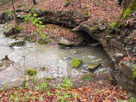 Blowing Cave, Paint Rock River Valley, Jackson County, Alabama (lower entrance to Doodlebug Hole ...