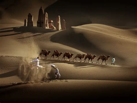 Desert Camel Shadow | Smithsonian Photo Contest | Smithsonian Magazine