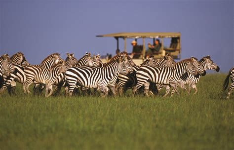 Serengeti Luxury Safaris - Southern Destinations