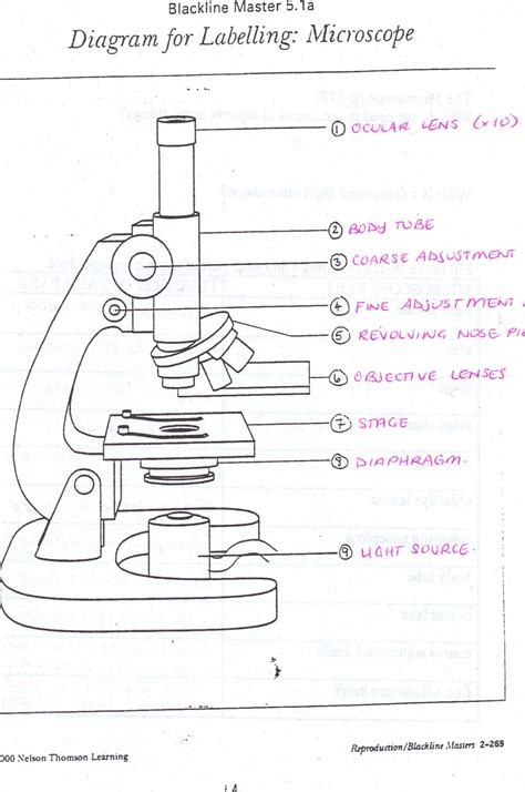 Microscope Diagram And Labels