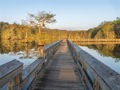 Chicot State Park for paddle and hiking adventure | The Heart of Louisiana