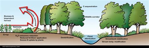 Riparian Buffers - Agroforestry for Any Property - UW-Madison Extension ...