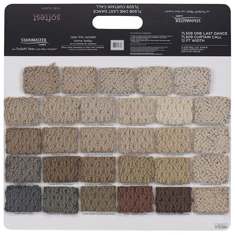 Shaw Multi Carpet Sample (Interior) in the Carpet Samples department at Lowes.com