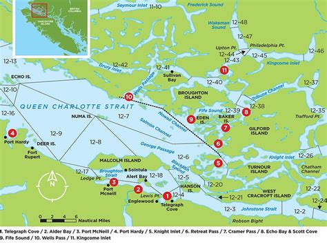 Broughton Archipelago Coho - Island Fisherman Magazine