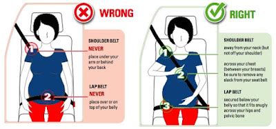 Seat Belt - Safety