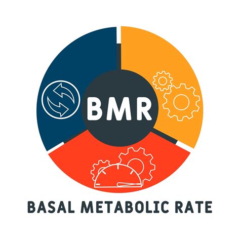 Why and How to measure Basal Calorie Expenditure?