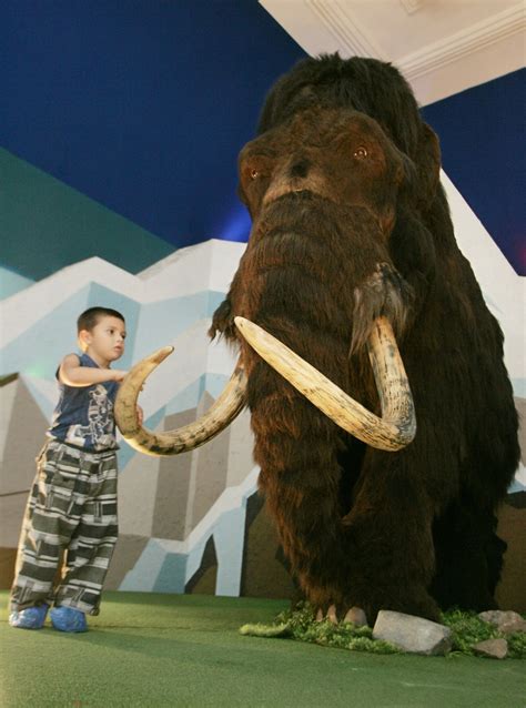 Scientists Plan to Clone Woolly Mammoth | IBTimes UK