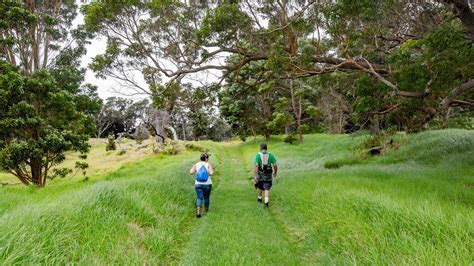 Visit Kahuku: Kona Trail (U.S. National Park Service)