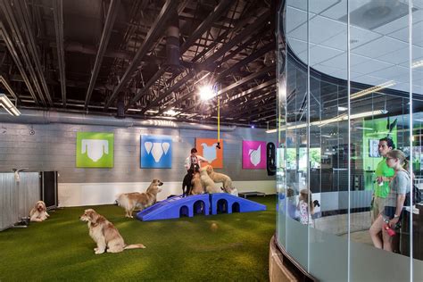 Sniff Dog Hotel | Commercial and Veterinary Pets Architecture in Portland Oregon —Scott Edwards ...