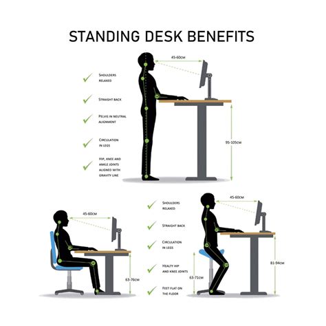 Ergonomischer Stehpult und seine Vorteile – ROYAL OFFICE