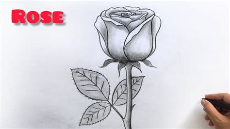 آموزش نقاشی آسان گل رز|how to draw a rose - YouTube