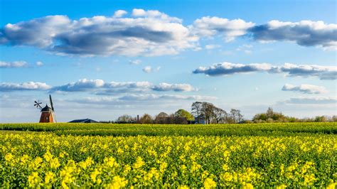 Bjerre windmill, Stenderup, Denmark - Landscape photograph… | Flickr