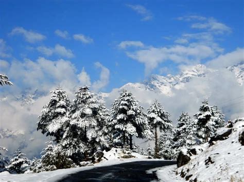 My first snow in Sikkim India - Tripoto