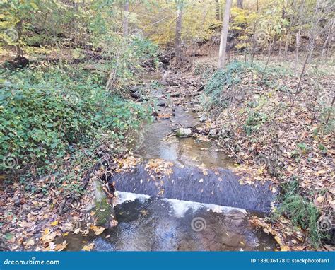 Small River with Waterfall and Leaves and Plants Stock Photo - Image of ...