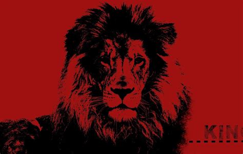 Wallpaper desktop, red, fantasy, black, art, lion, pop art, King images ...