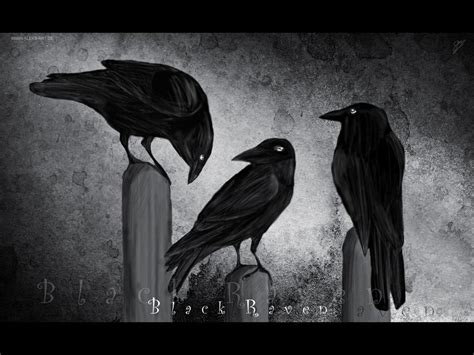 Gothic Crow Wallpapers - Top Free Gothic Crow Backgrounds - WallpaperAccess