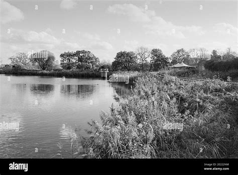 Reservoir and reedbeds at Woodberry Wetlands nature reserve, Woodberry Down, North London UK ...