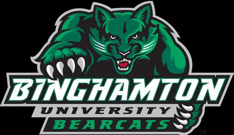 Binghamton 'aggressively' looking to add men's Division I college hockey in time for 2024-25 ...