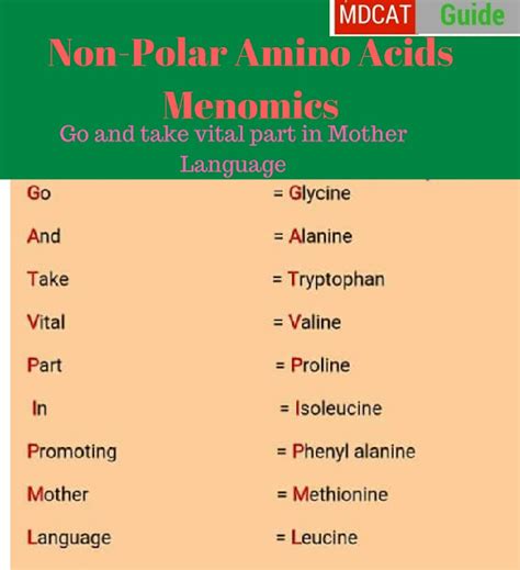 Amino Acids Mnemonics (Easy way to Memorize) | MDCAT Guide