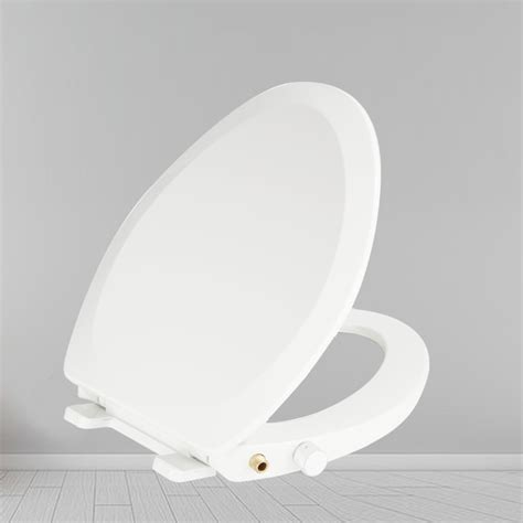 Smart Bidet Toilet Seats,Electronic Heated Toilet Seats Manufacturer