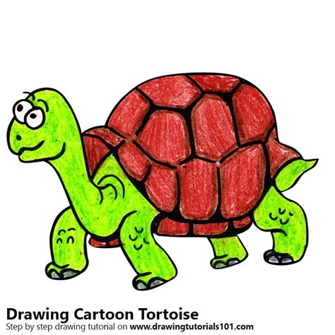 How to Draw a Cartoon Tortoise (Cartoon Animals) Step by Step | DrawingTutorials101.com