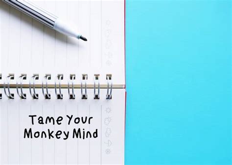 20+ Monkey Chatter Stock Photos, Pictures & Royalty-Free Images - iStock