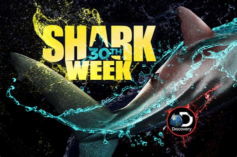 Shark Week Turns 30 | StyleWorks Creative