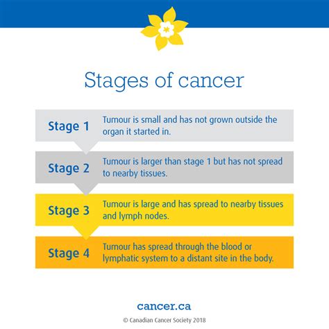 Stages Of Cancer | What is Happening