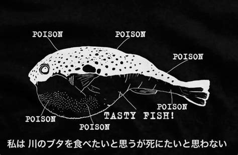 What Does Puffer Fish Poison Do To Humans? Exploring Its Deadly Effects