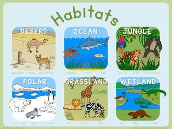 Habitats poster | Animal habitats preschool, Habitats, Animal habitats