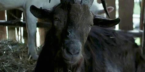 The Witch: Admit It, Black Phillip Is Hot (And We Don't Mean the Goat)