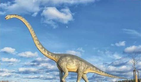 10 Long Neck Dinosaurs That You Should Know | My Dinosaurs
