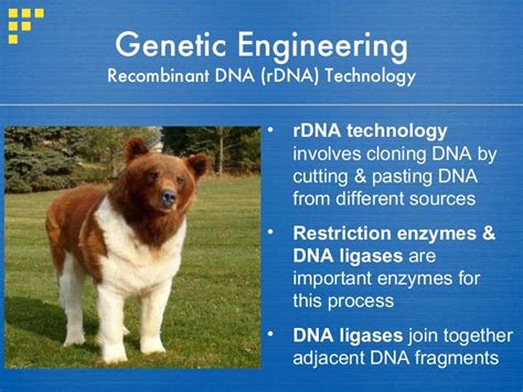 Genetic engineering