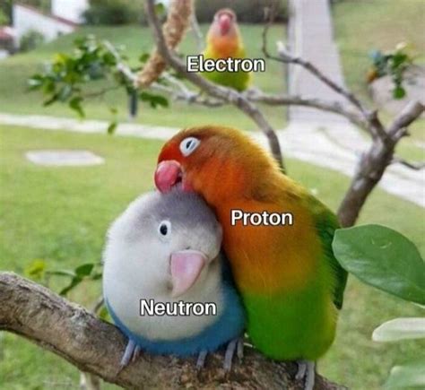 These Science Memes Are Too Clever! (47 PICS) - Izismile.com