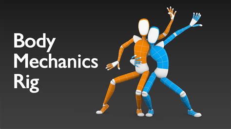 Персонаж для механики тела в Blender | Body mechanics rigs, Body mechanics, Blender 3d