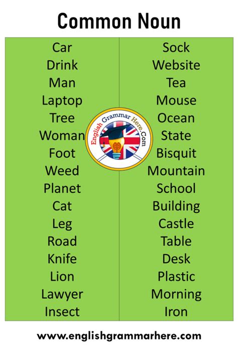 What is Common Noun with Example, Common Noun List - English Grammar Here