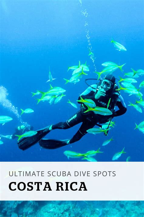 We've got Costa Rica's top scuba spots - where to go & how to get there ...