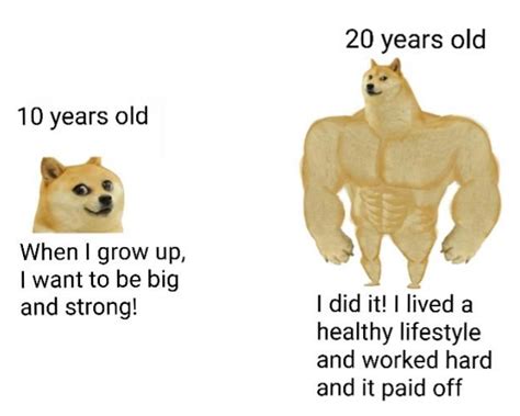 Buff Doge : r/swolesomememes