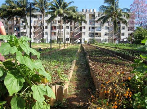 Agriculture in The World: Urban Agriculture