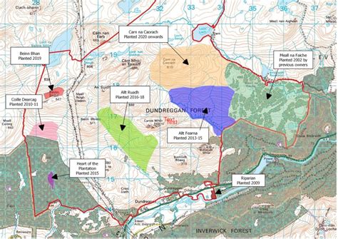 PLANTING A FOREST in Scotland 🌲 - AAL Property Solutions | Edinburgh