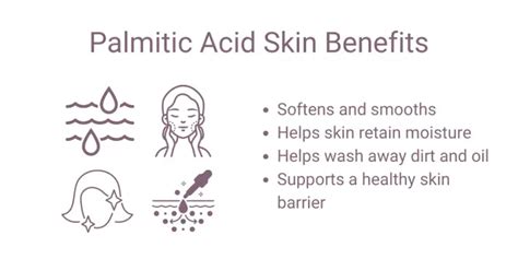 Palmitic Acid for Skin - Top Benefits & Uses | Skincare Lab