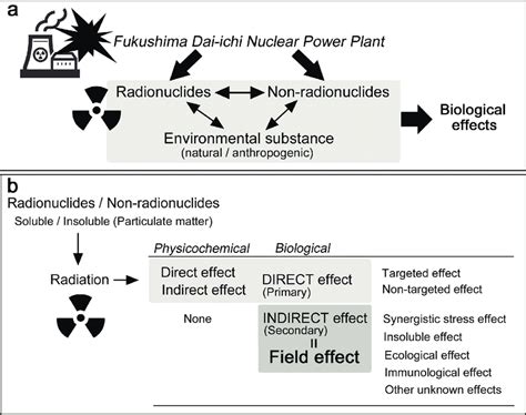 Possible effects of the explosion of the Fukushima Dai-ichi Nuclear ...