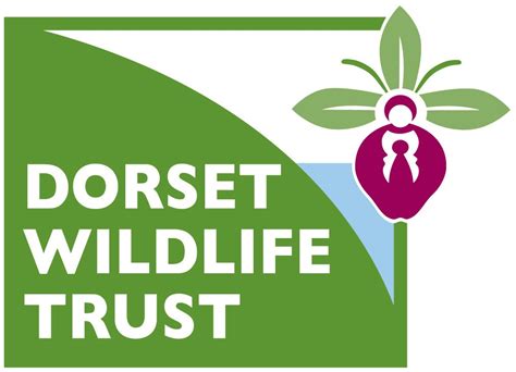 Wildlife Events in Dorset September 2018 - Dorset Eye